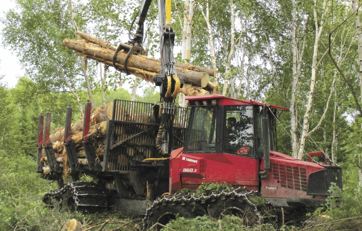 Quel sont les arbres forestiers ?