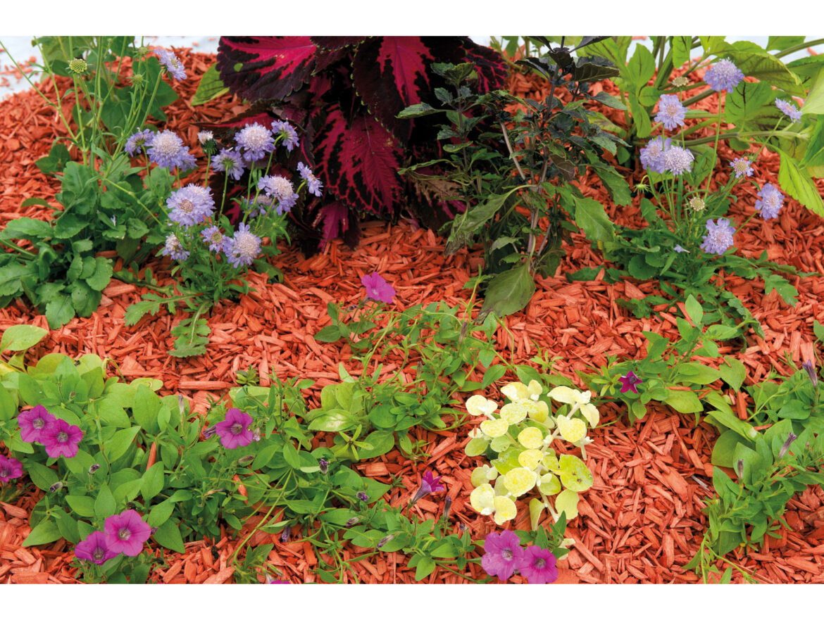 Quelle Epaisseur de copeaux de bois ?