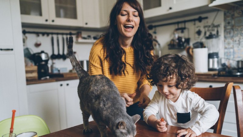 сколько потребляет энергии playstation 4 slim