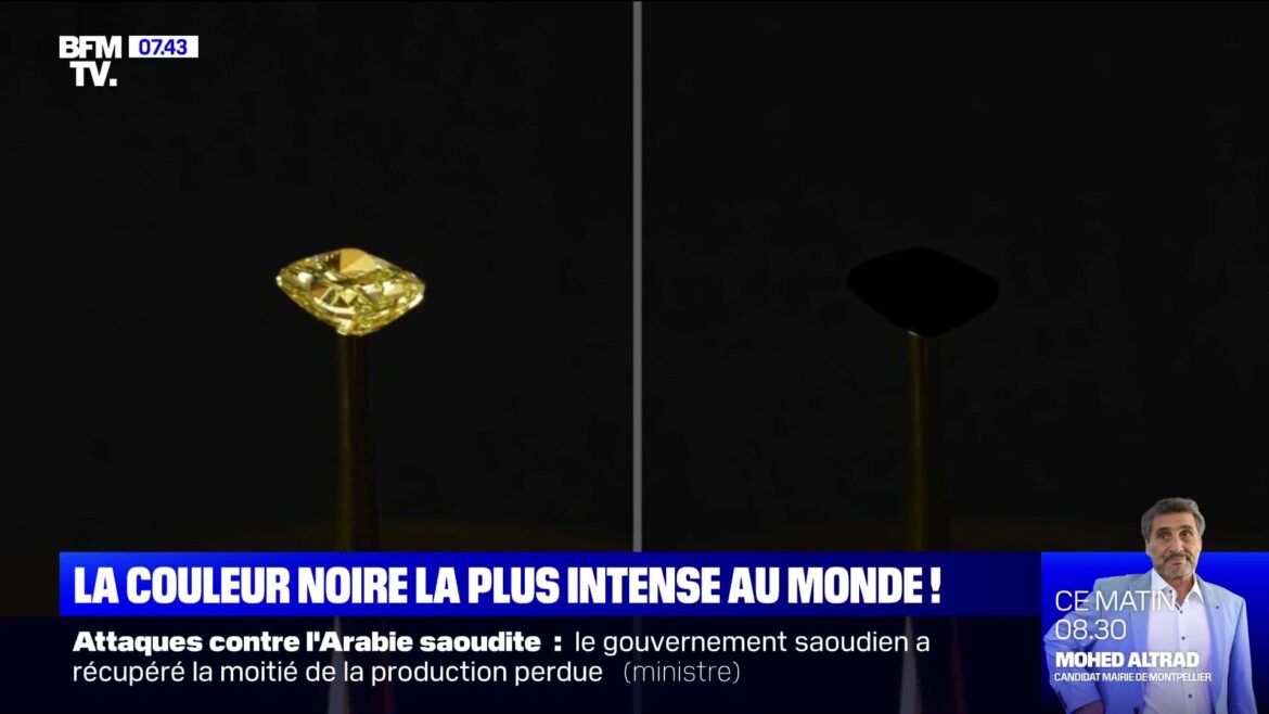 Quelle est la couleur la plus aimé au monde ?