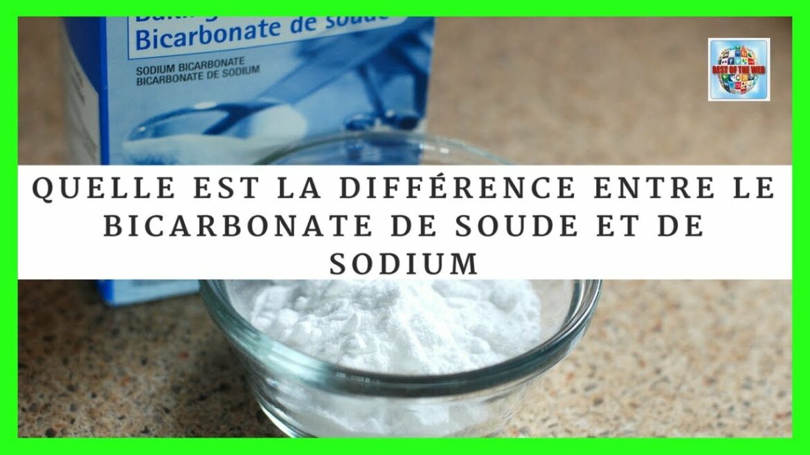 Quelle est la différence entre le bicarbonate de soude et la poudre à pâte ?