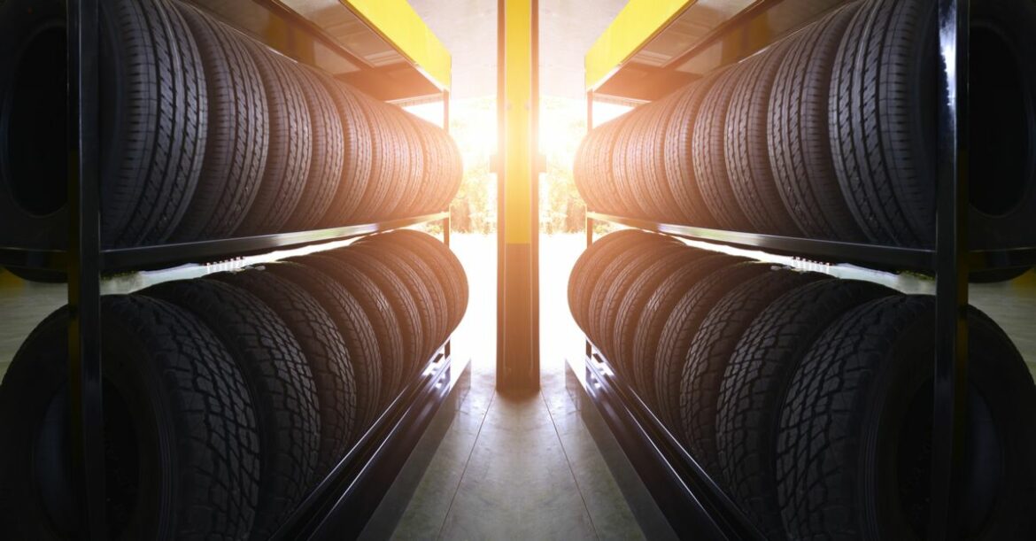 Quelle est la durée de vie d'un troène ?