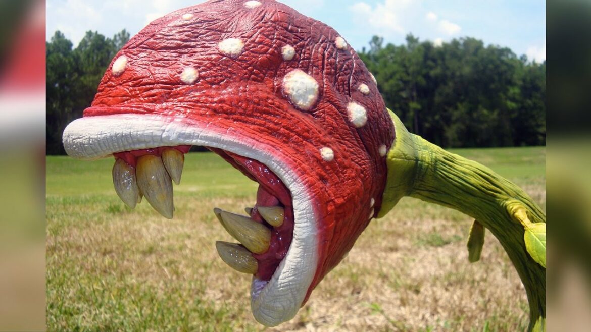 Quelle est la plante la plus dangereuse au monde ?