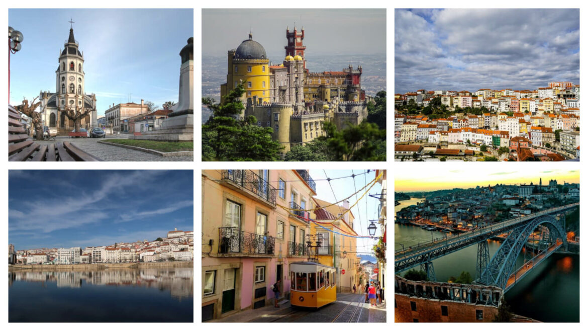 Quelle est la saison des mandarines ?