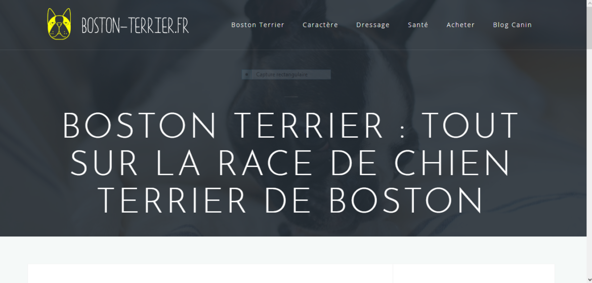 Quelle est le meilleur portail ?