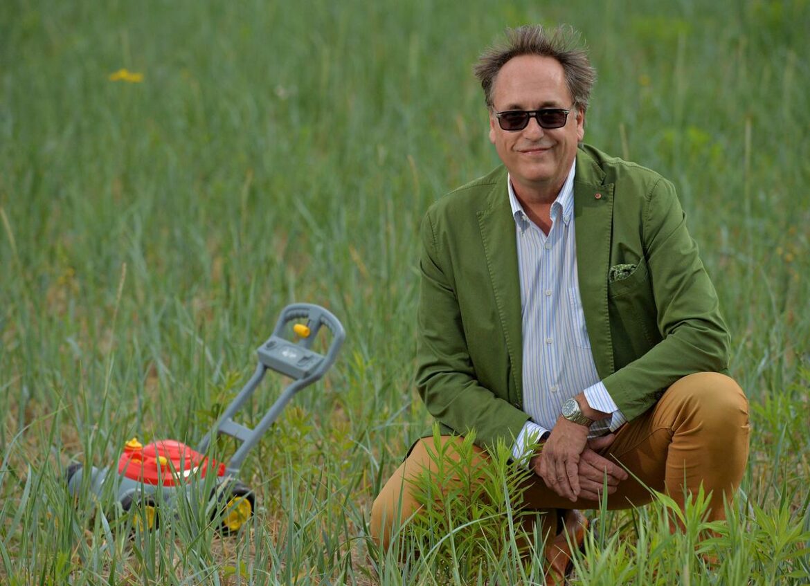 Quelle heure tondre le samedi ?