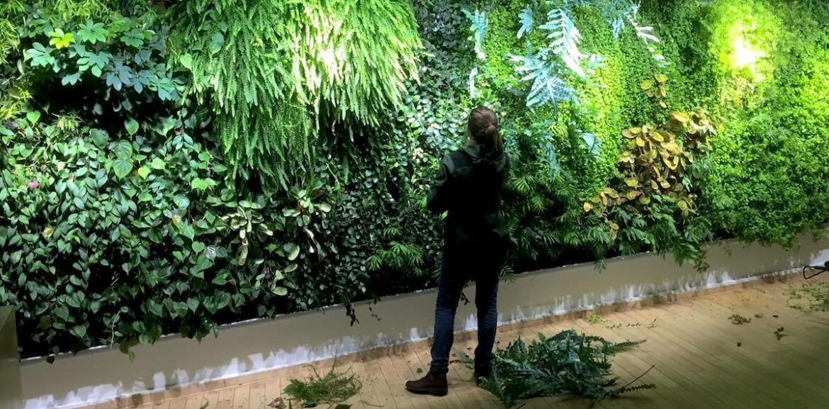 Quelle plante mettre dans un mur végétal extérieur ?
