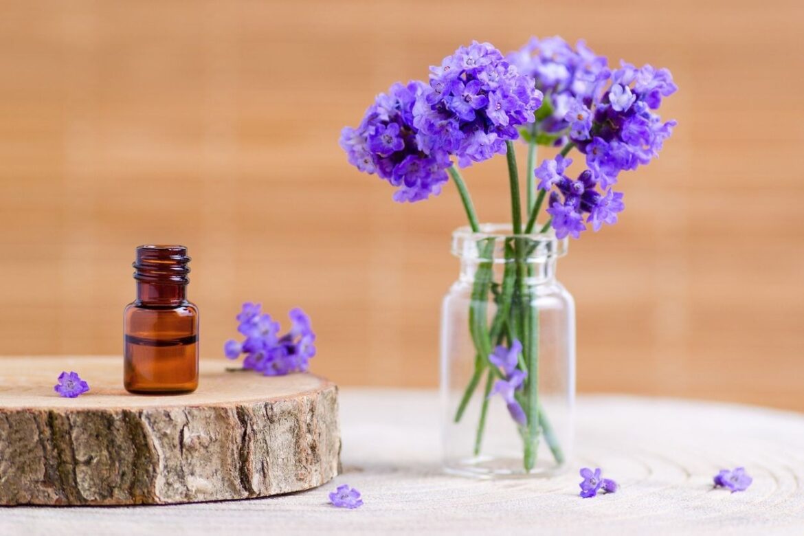 Quelle plante pour l'anxiété ?