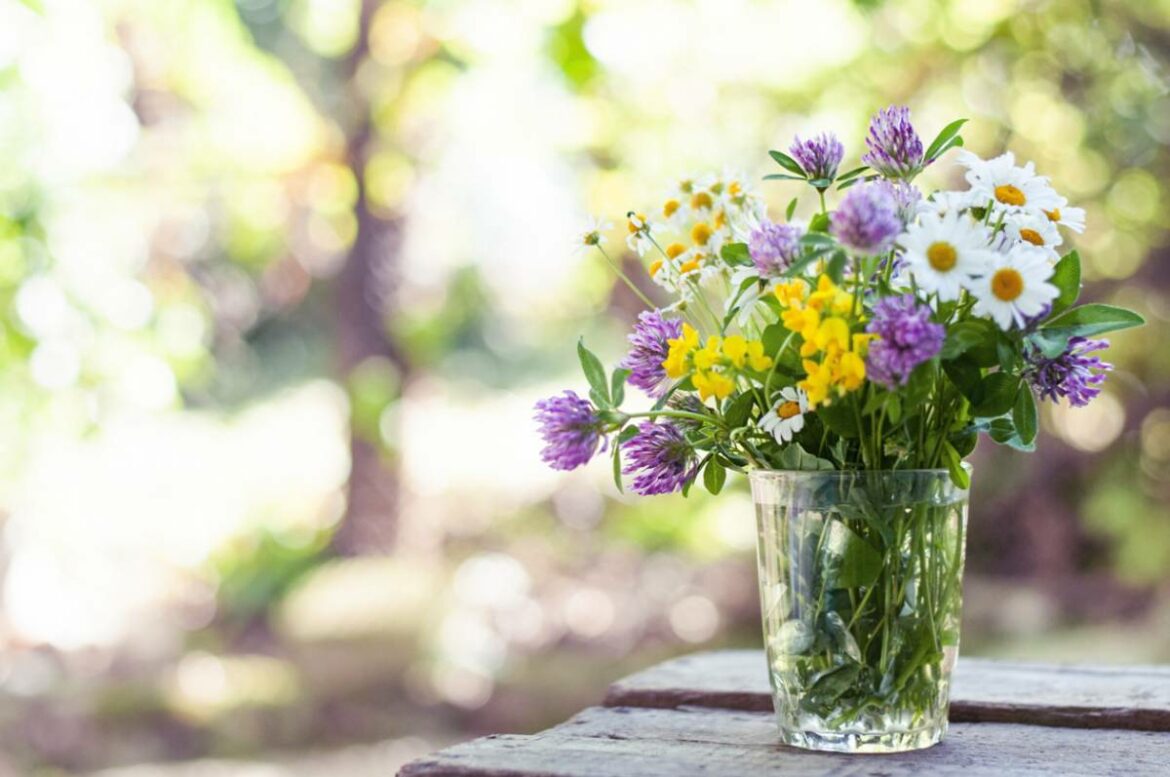 Quelles fleurs pour extérieur ?