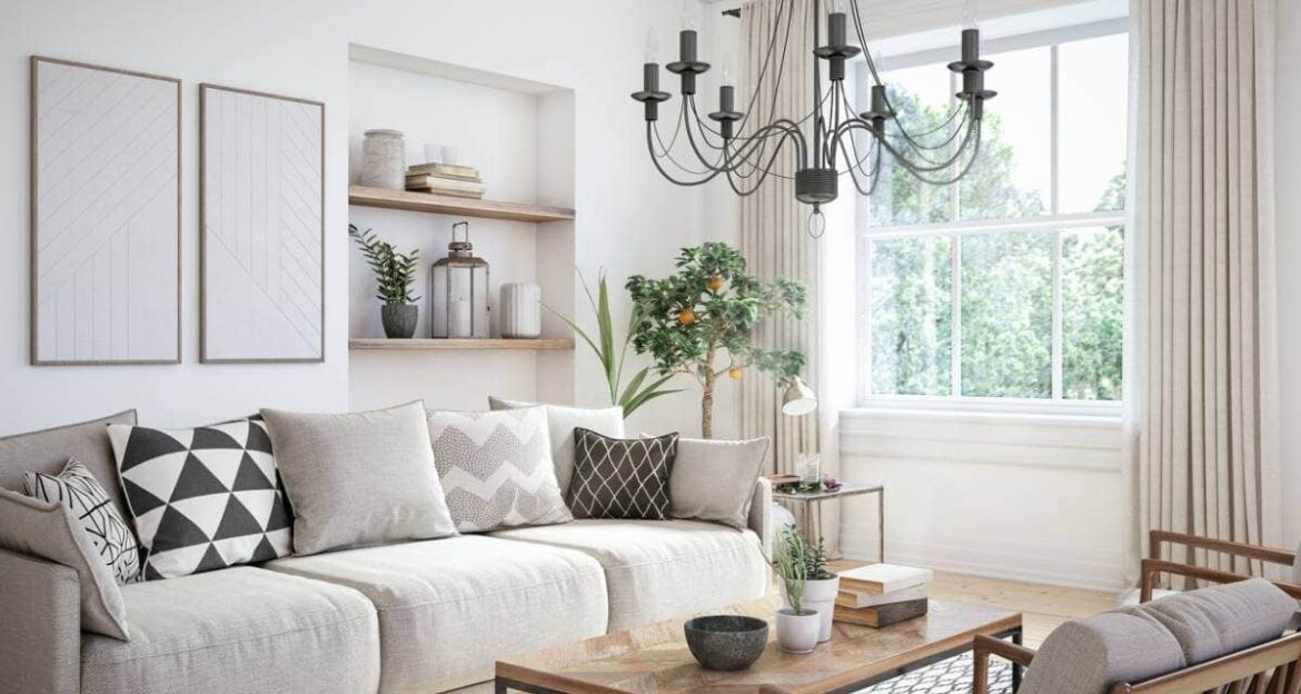 Quelles sont les caractéristiques du cactus ?