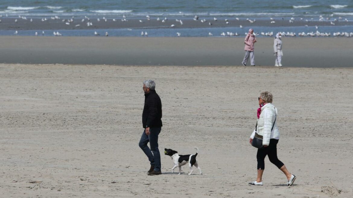 Quelles sont les heures autorisées pour tondre ?