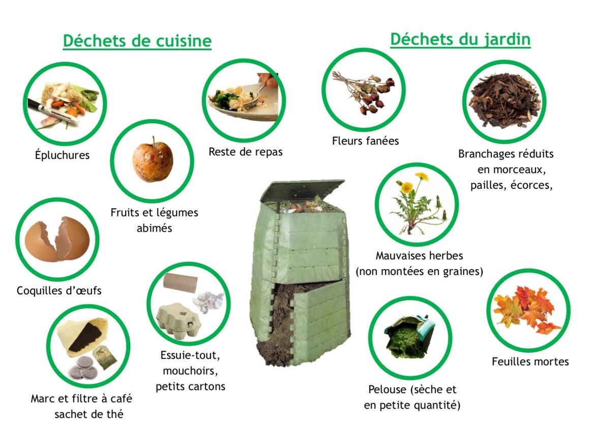 Quels déchets dans le composteur ?