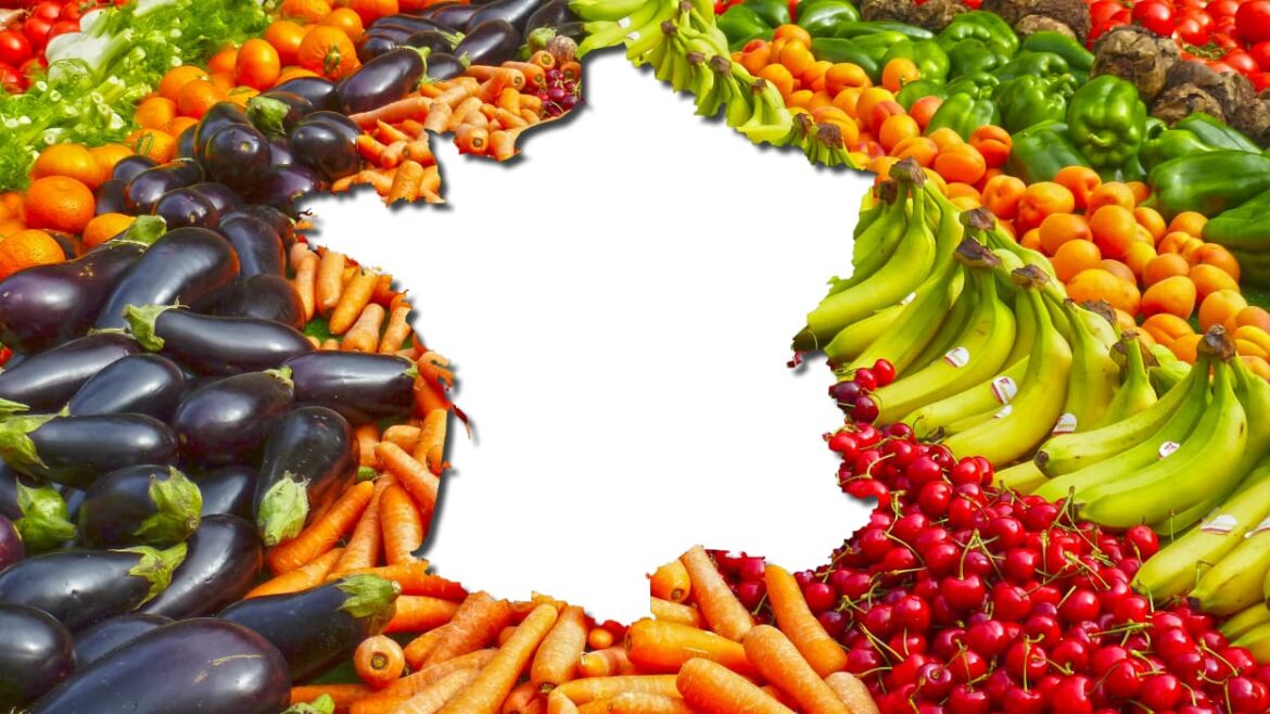 Quels sont les Cucurbitacé ?