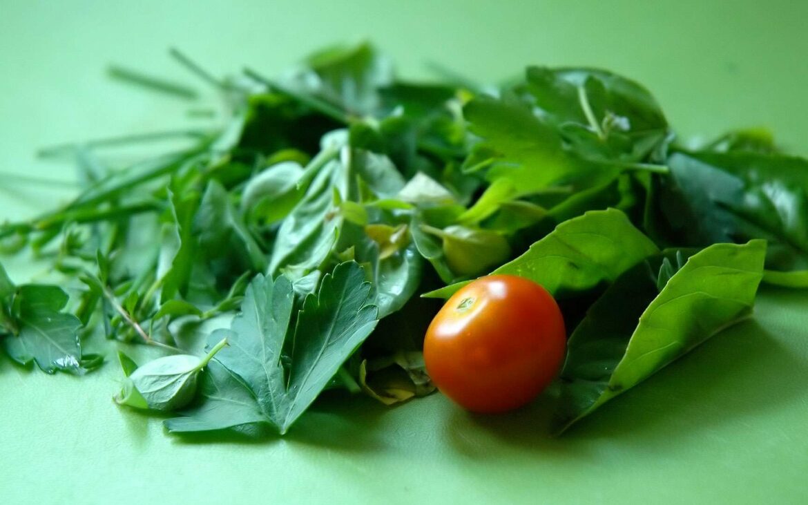 Quels sont les bienfaits du romarin en infusion ?