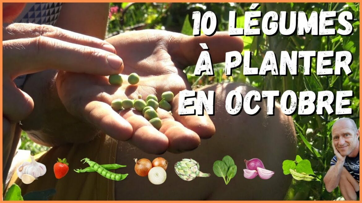 Quels sont les légumes à planter en octobre ?