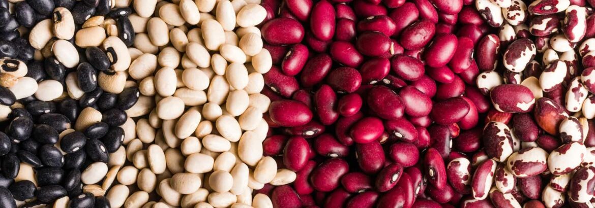 Quels sont les meilleures variétés d haricot vert grimpant ?