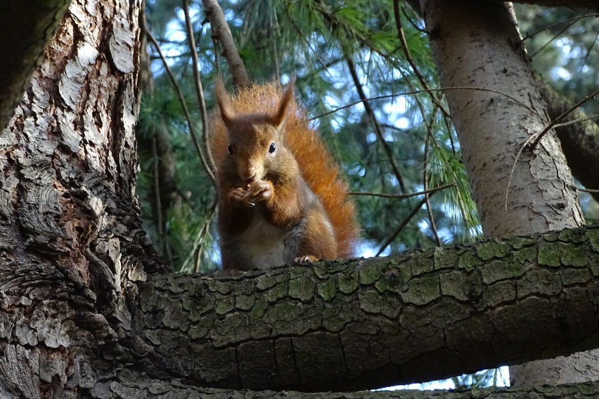 Qui paye les travaux dans M comme Maison ?