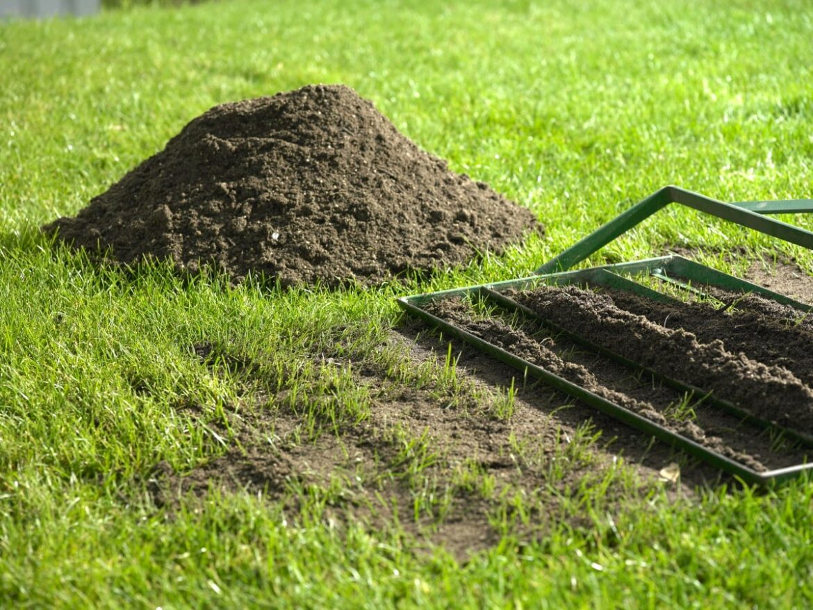 Comment combler un manque de gazon ?