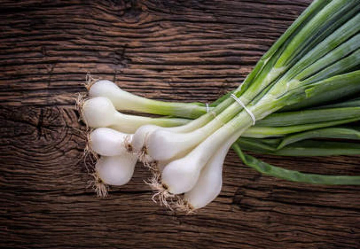 Comment conserver l'oignon pendant longtemps ?