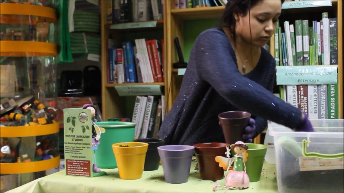 Comment conserver un freesia l'hiver ?