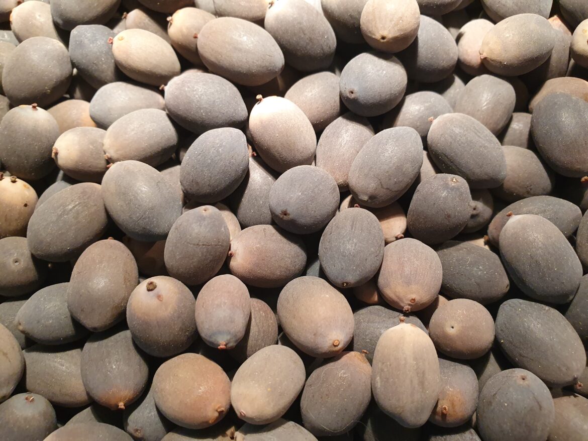 Comment consommer la fleur de lotus ?