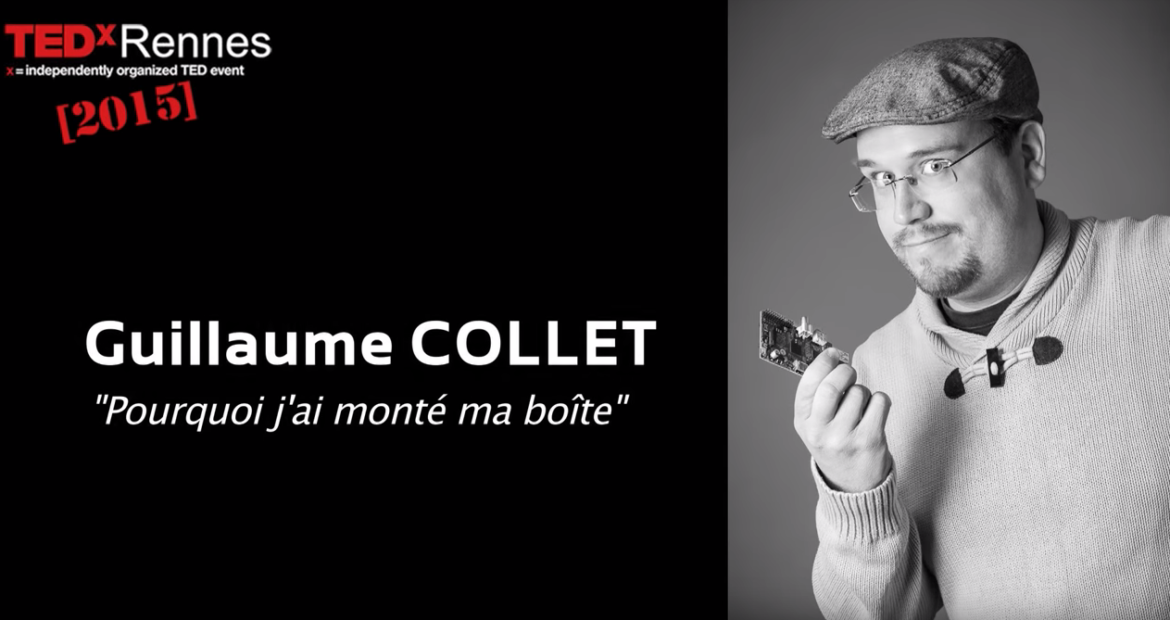 Comment couper une plante grasse trop haute ?