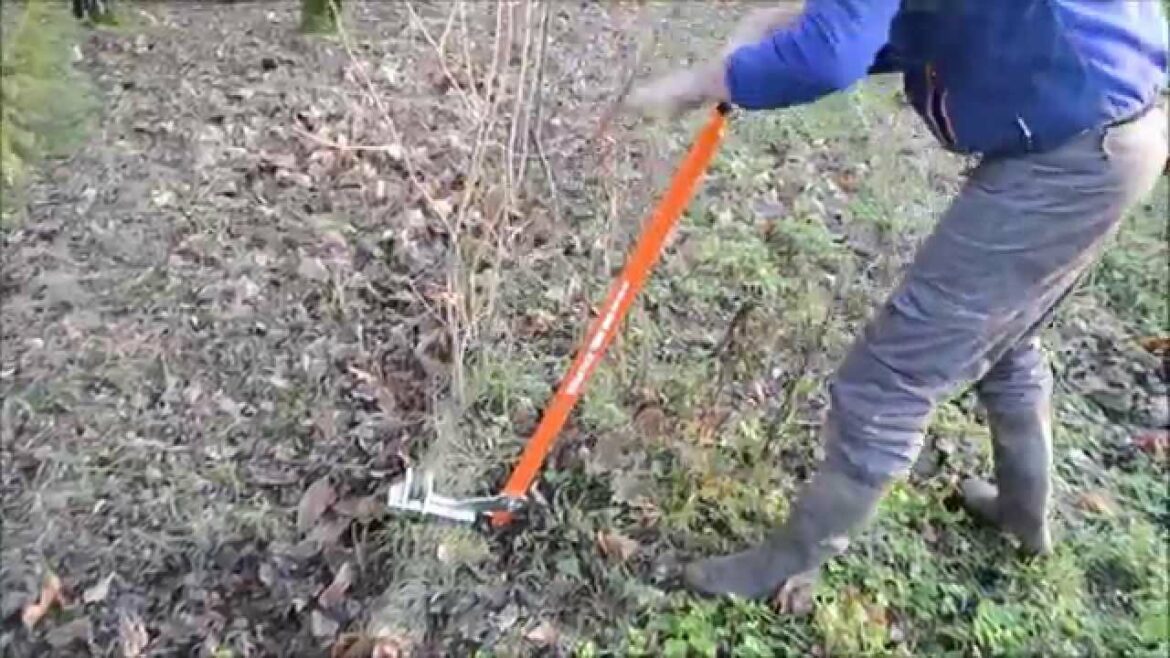 Comment déraciner ?