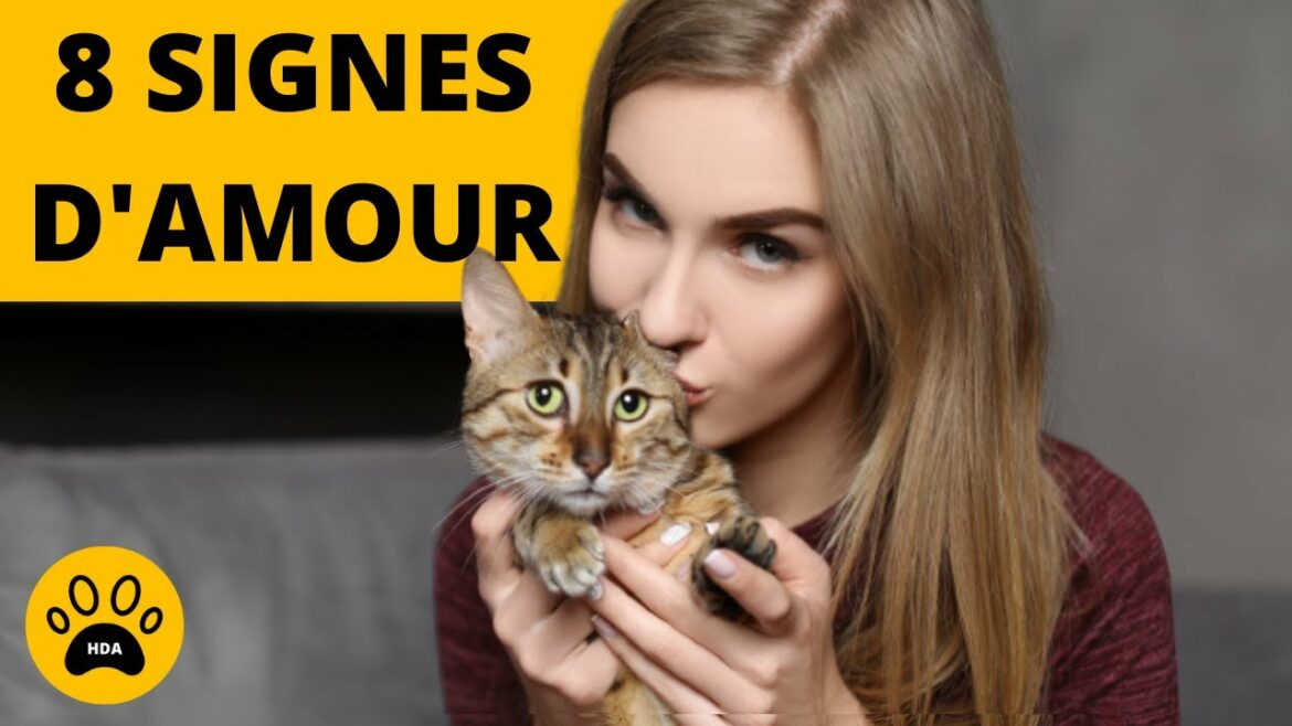 Comment dorment les octodons ?