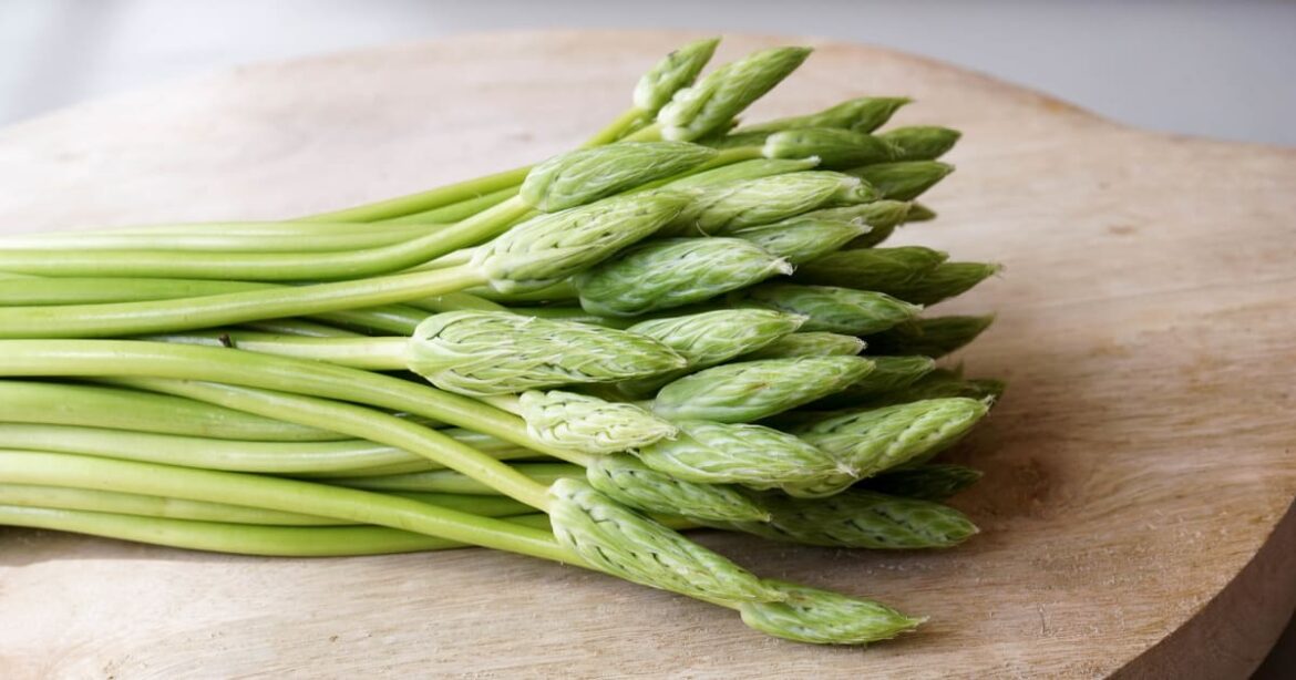 Comment enlever l'amertume de l'asperge sauvage ?