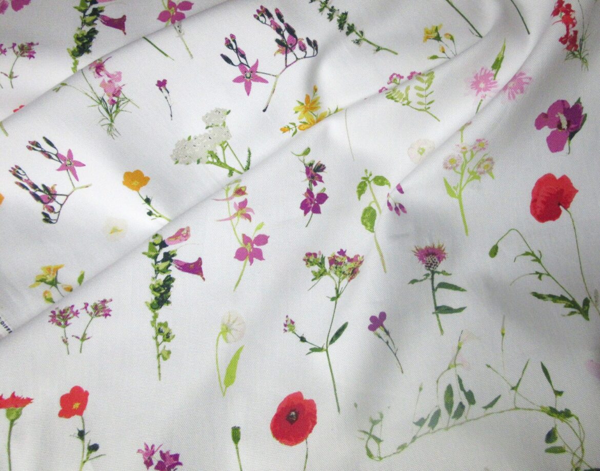 Comment entretenir un Cana ?