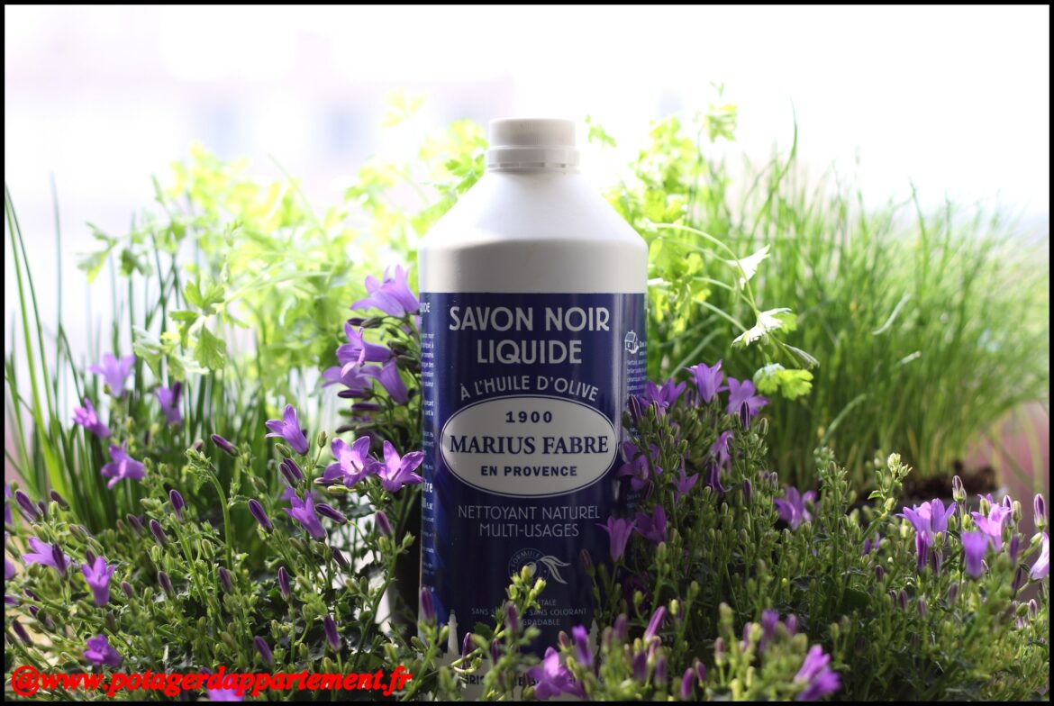 Comment fabriquer un insecticide à base de savon noir ?