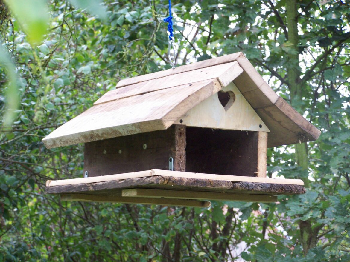 Comment fabriquer une mangeoire à oiseaux facile ?