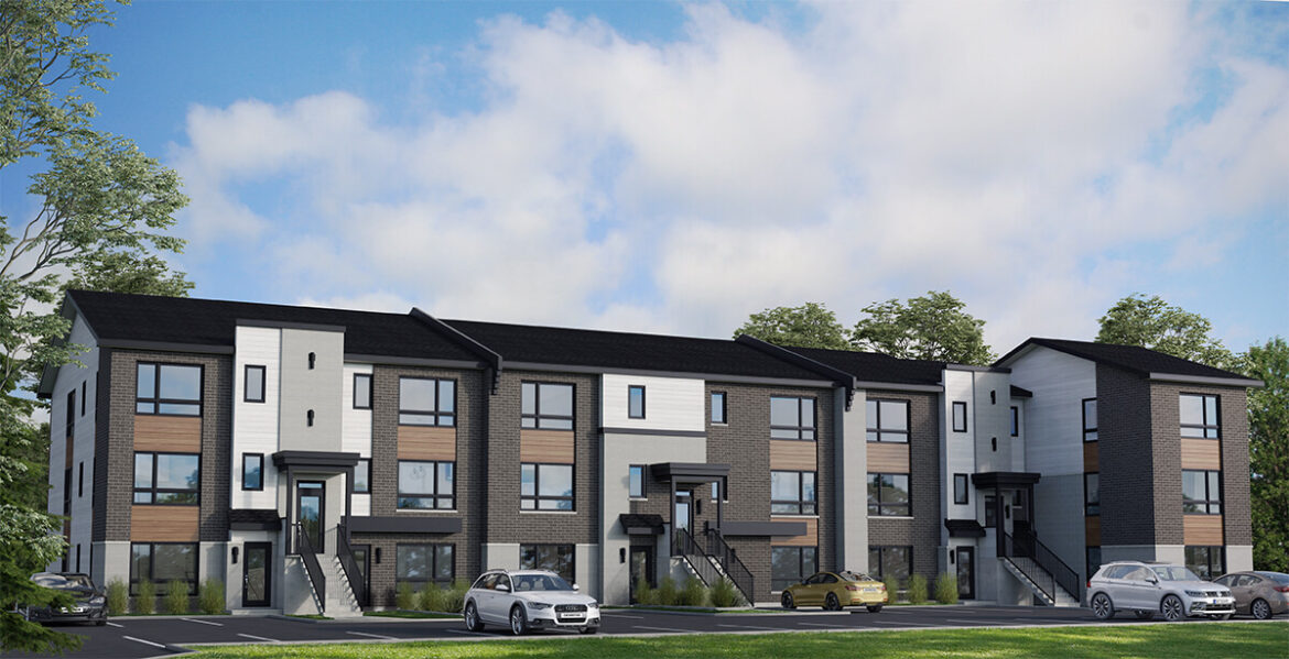 Comment faire fleurir le Strelitzia ?