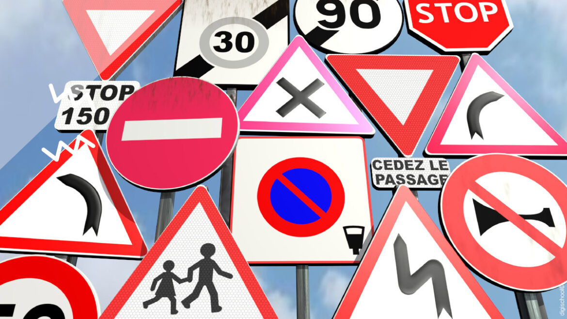 Comment faire fleurir les ficoïdes ?