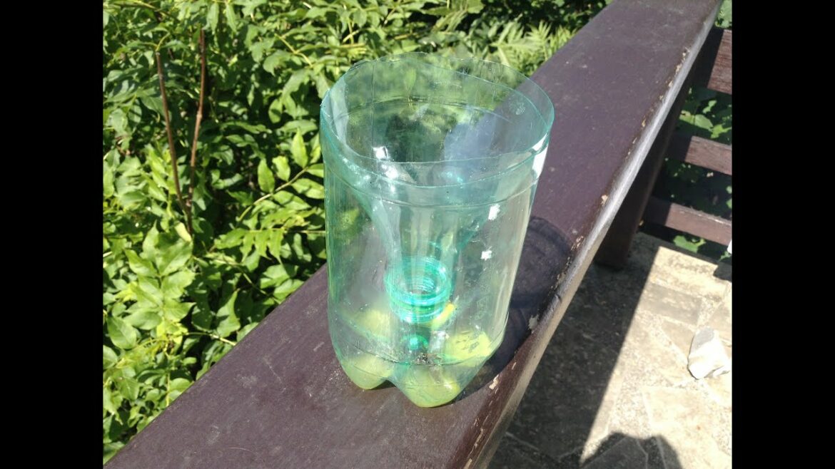 Comment faire fuir les guêpes sans les tuer ?