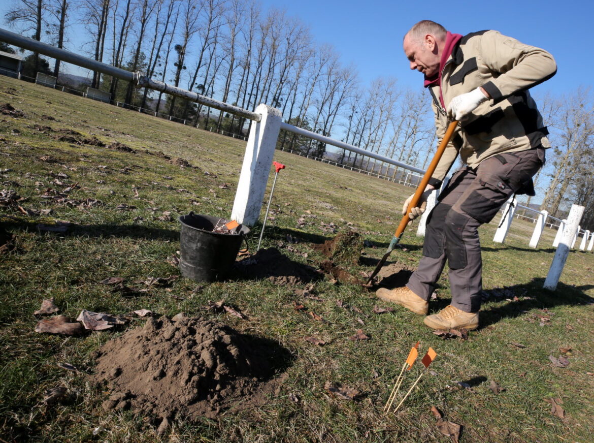 Comment faire fuir les taupes avec une bouteille ?