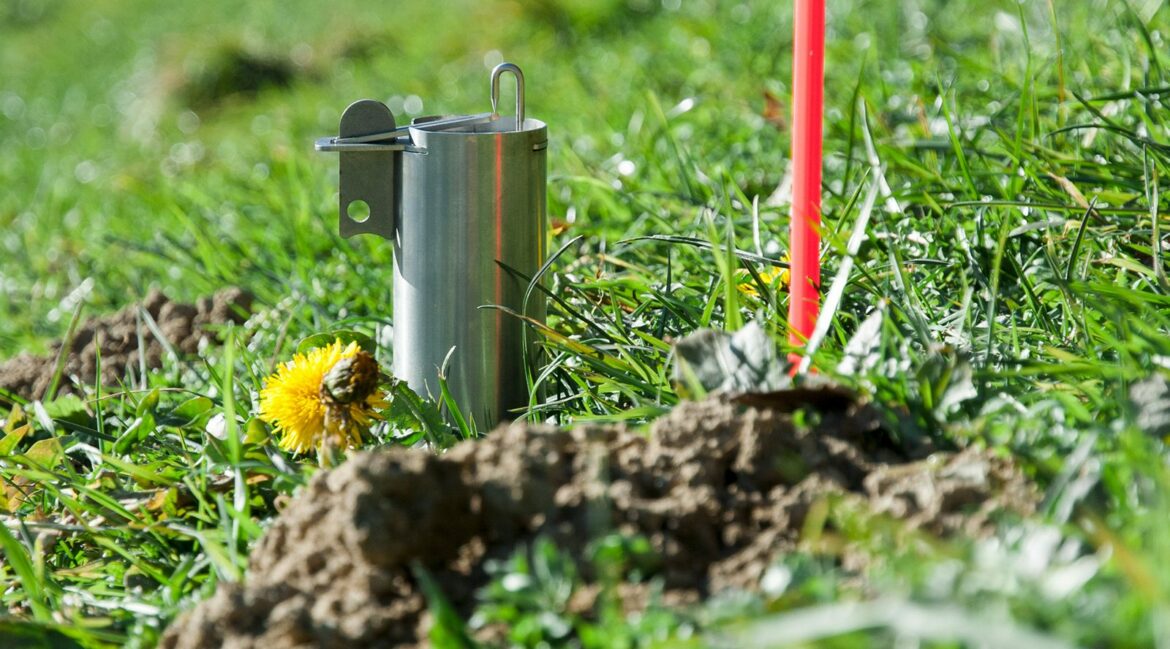 Comment faire fuir les taupes avec une bouteille ?