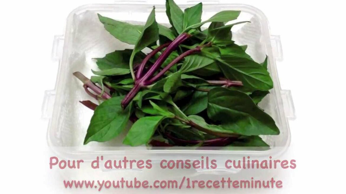 Comment faire sécher le basilic pour le conserver ?