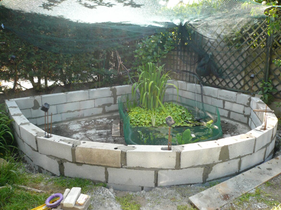 Comment faire un petit bassin en béton ?