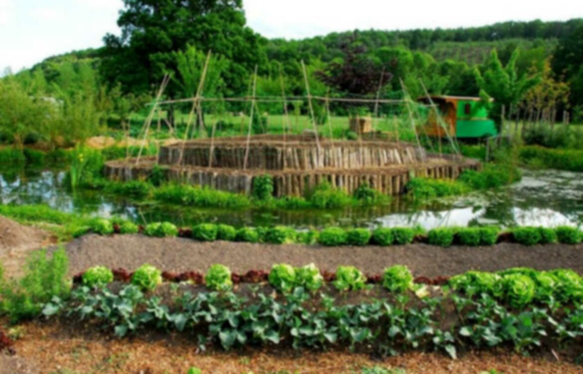 Comment faire un petit verger ?