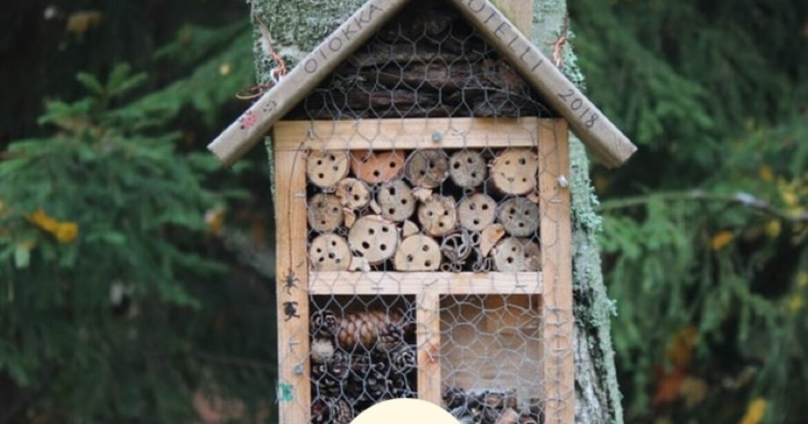 Comment fonctionne un hôtel à insectes une fois installé dans un endroit précis ?