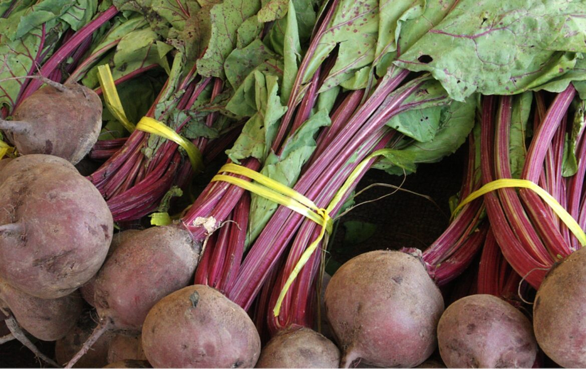 Comment manger betterave jaune ?