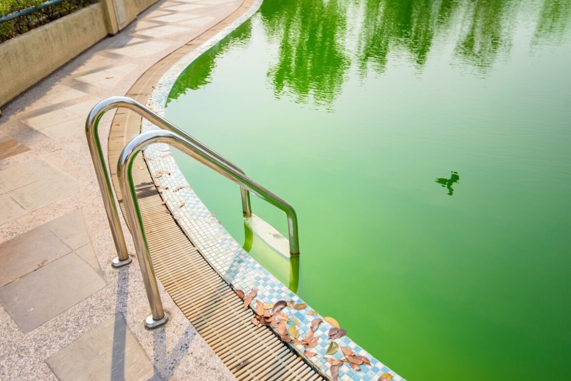 Comment rattraper une piscine verte en moins de 48h ?