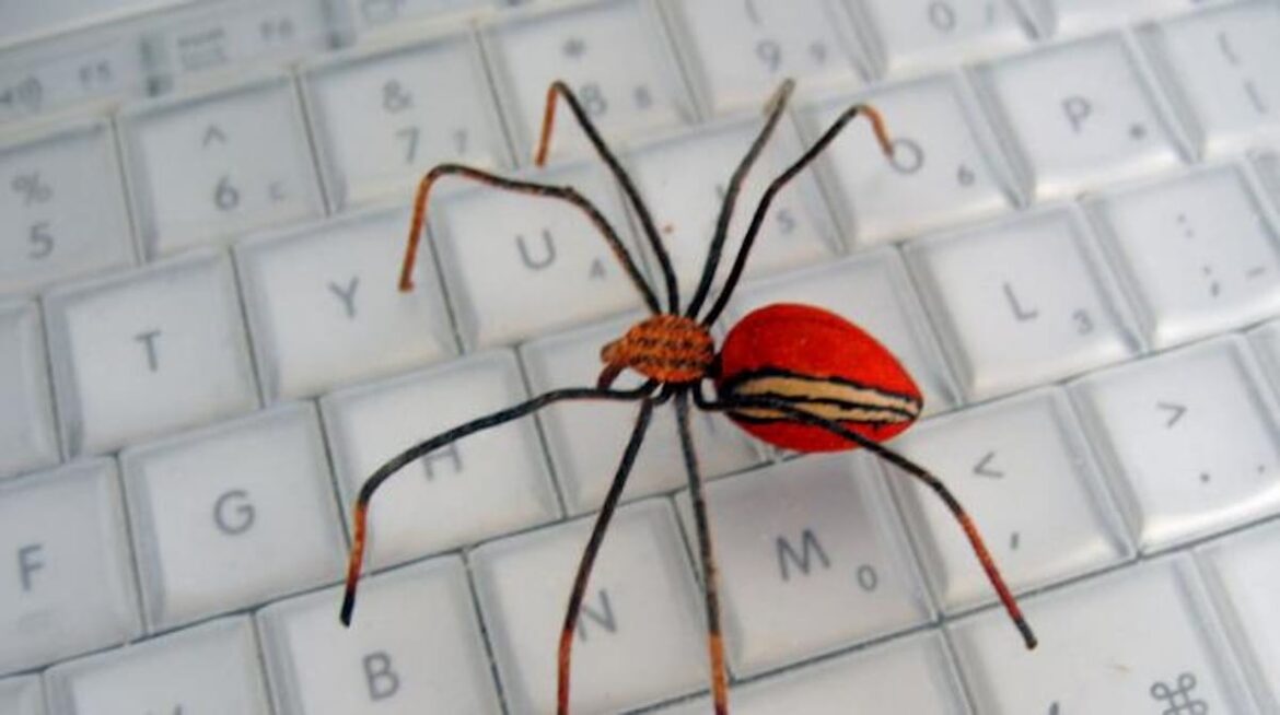 Comment repousser les araignées sans les tuer ?