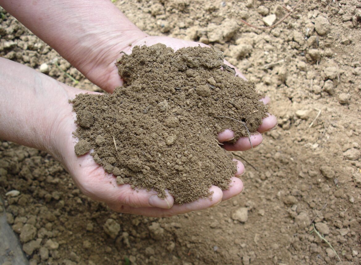 Comment savoir si la terre est polluée ?