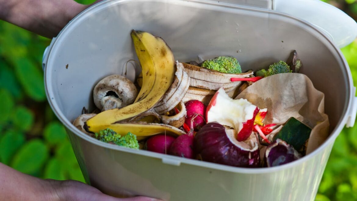 Comment savoir si le compost est prêt ?
