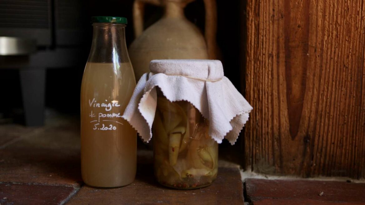 Comment savoir si une mère de vinaigre est morte ?