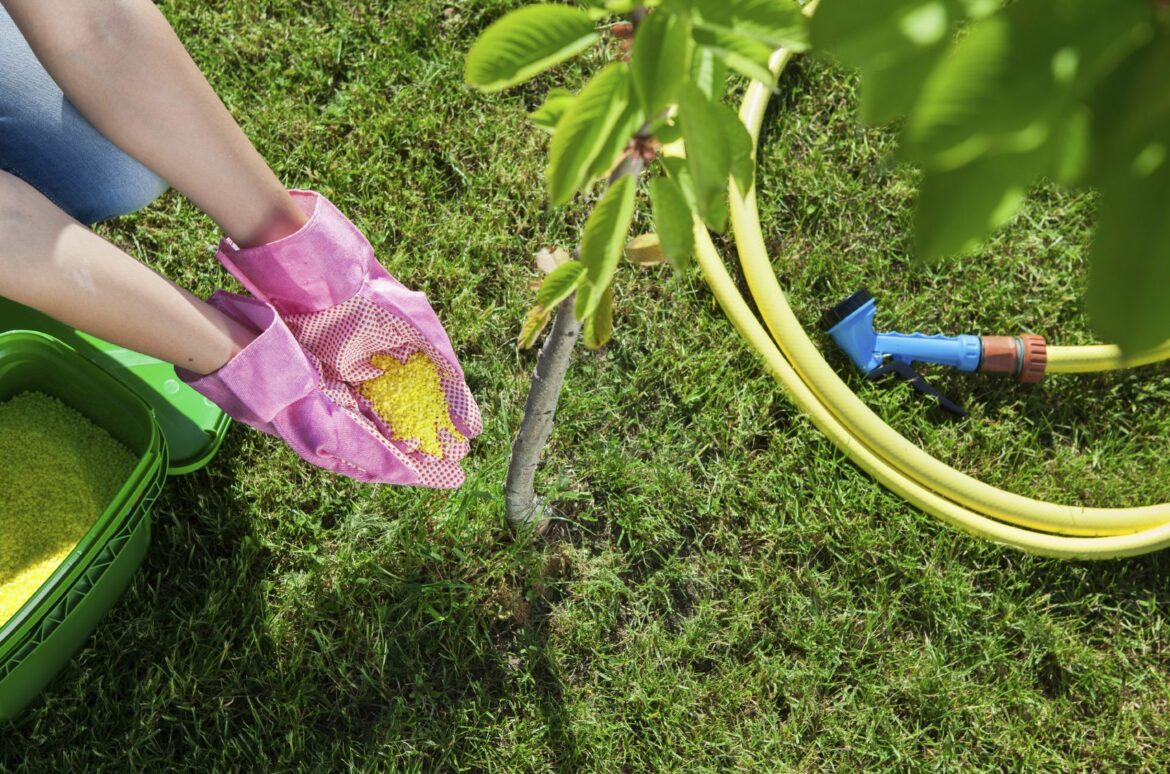 Comment savoir si une plante a besoin d'engrais ?