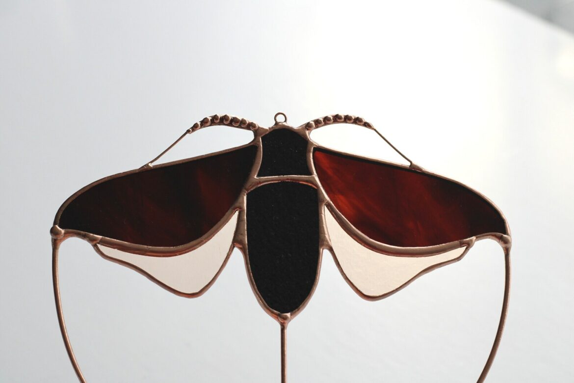 Comment se débarrasser des vers noirs dans les toilettes ?