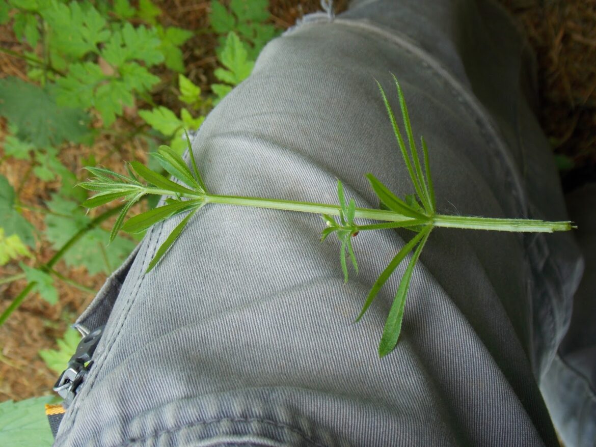 Comment suspendre des pots de fleurs ?